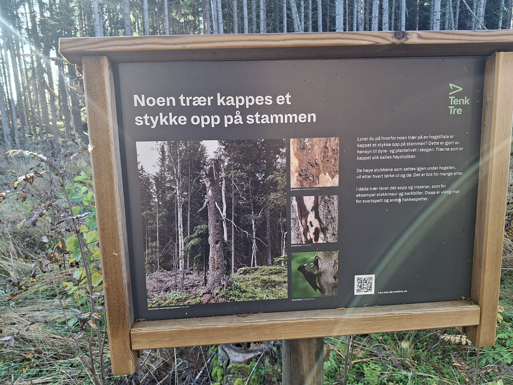 INFO i skogen