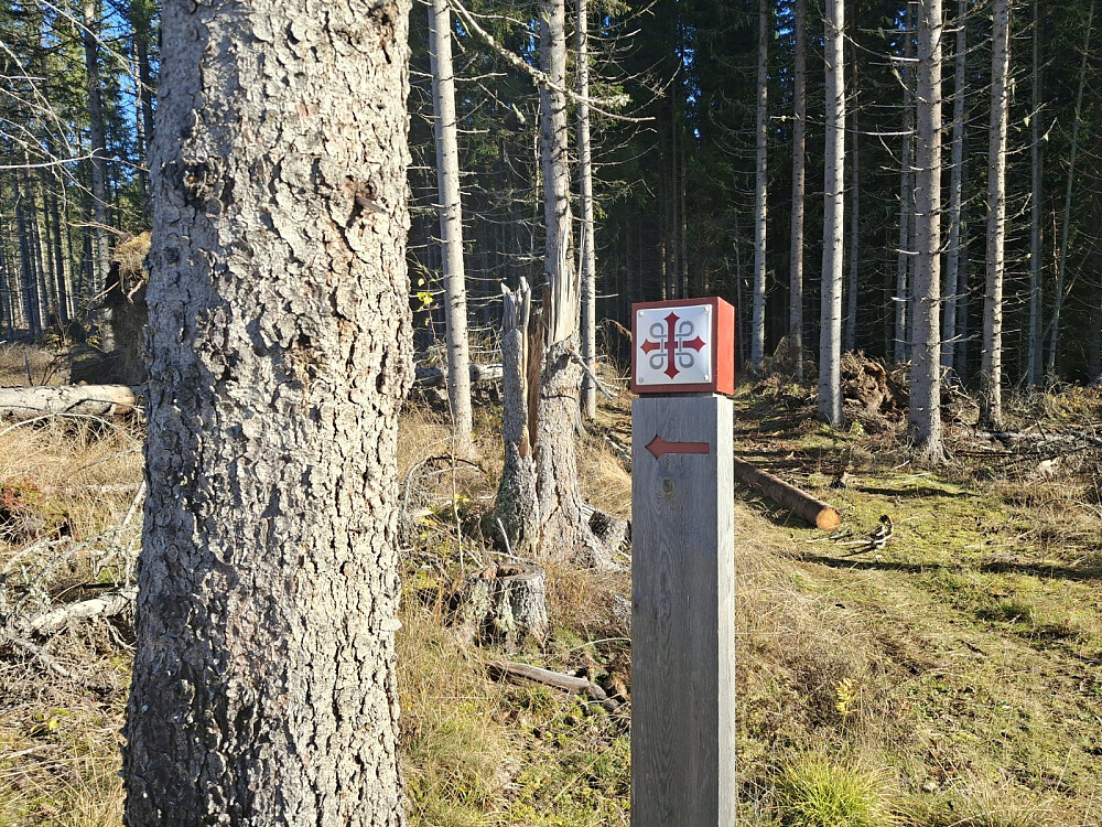 Pilgrimsleden også her