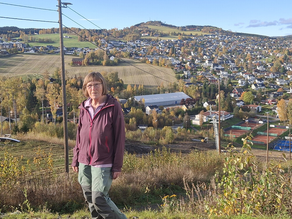 På Hovdetoppen, mot Bergstoppen