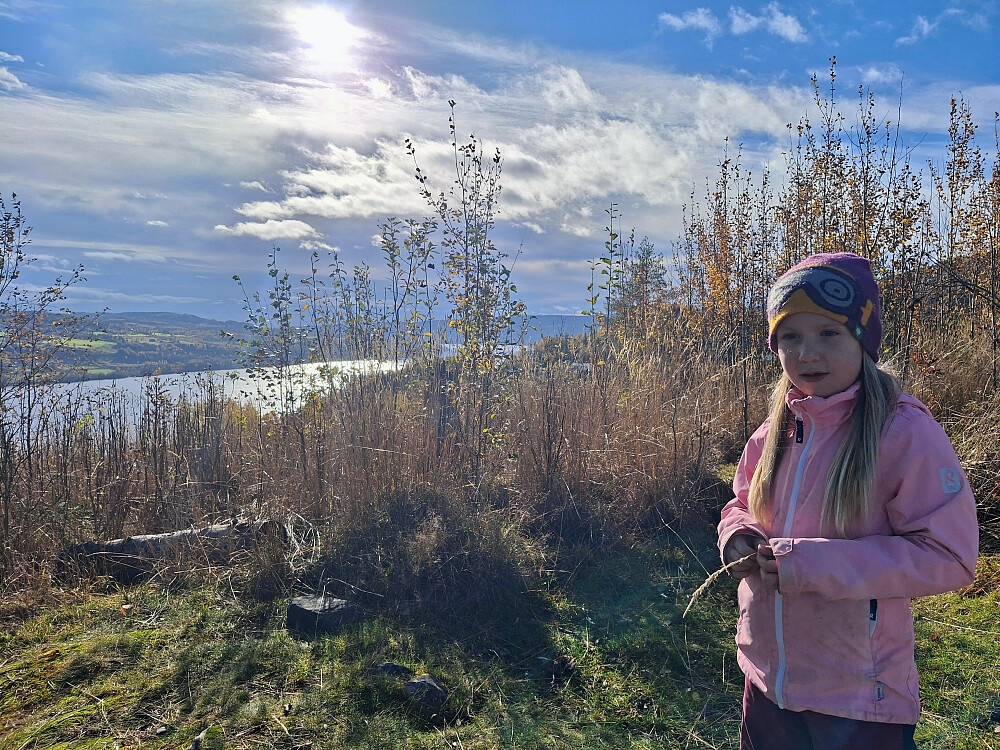 På Pinikkhaugen