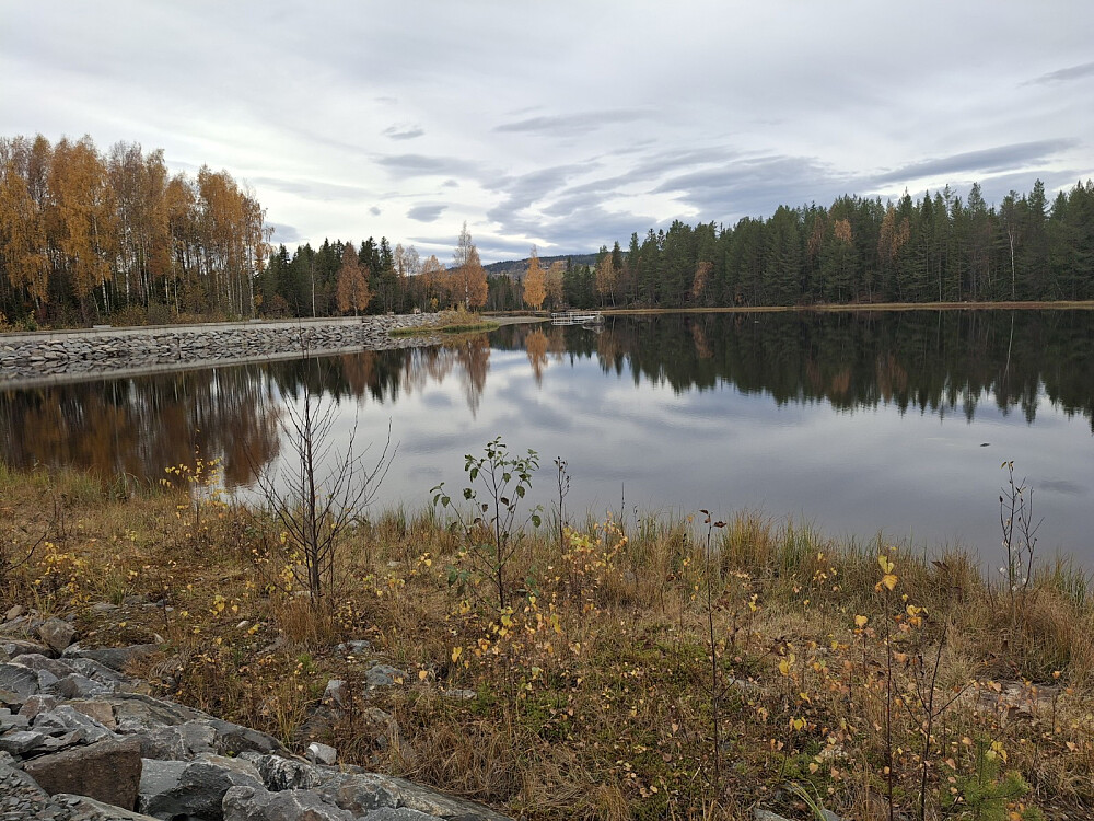 Krokflø