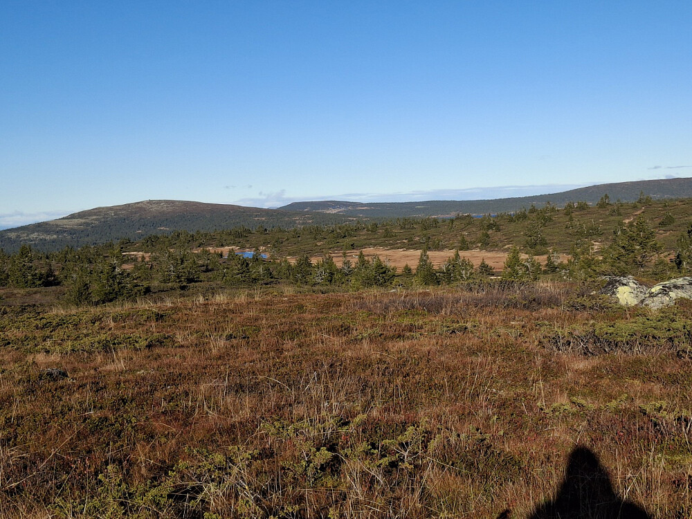På Lunkefjell vest