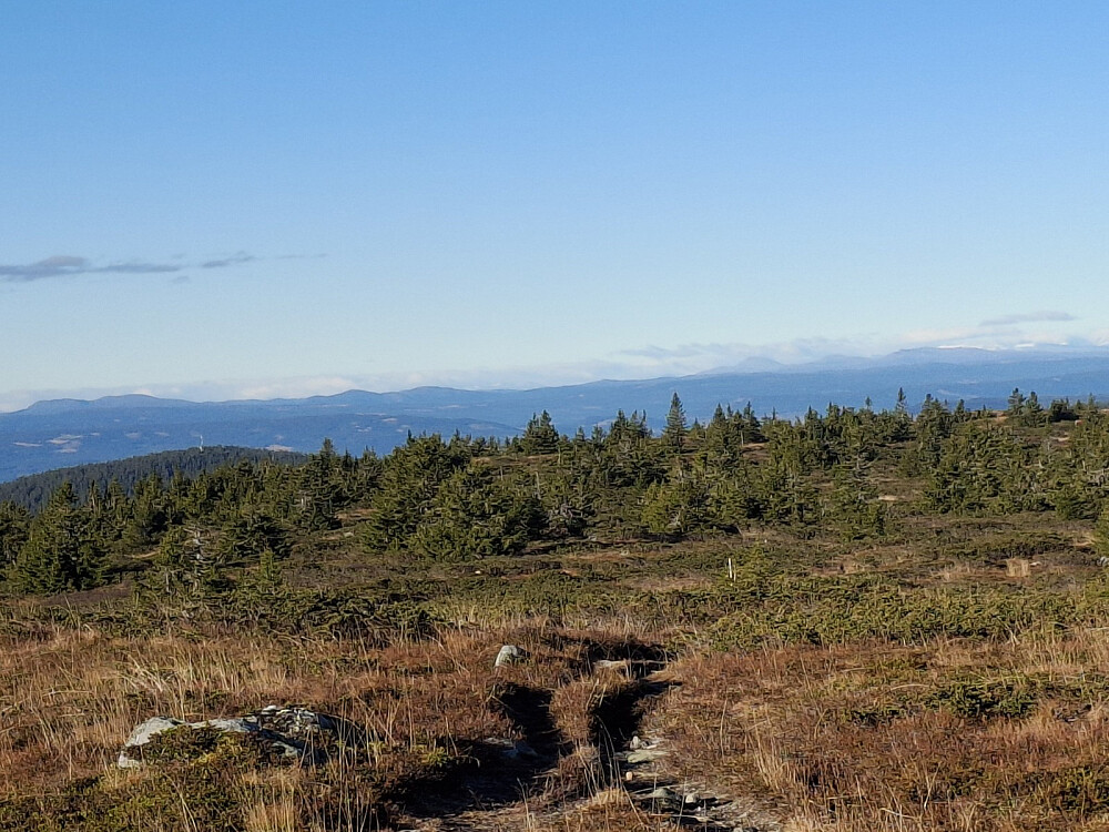 På Lunkefjell vest