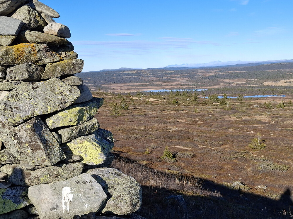 På Snauskallen