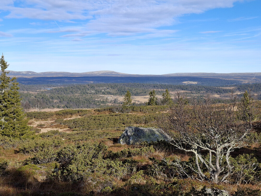 På Storlia
