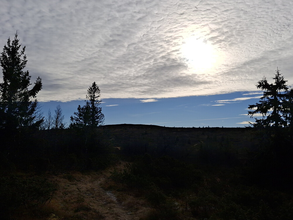 Mot Snauskallen