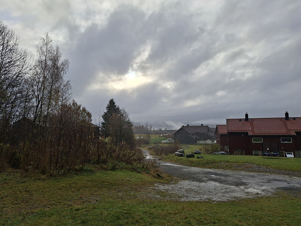 Ved gapahuken