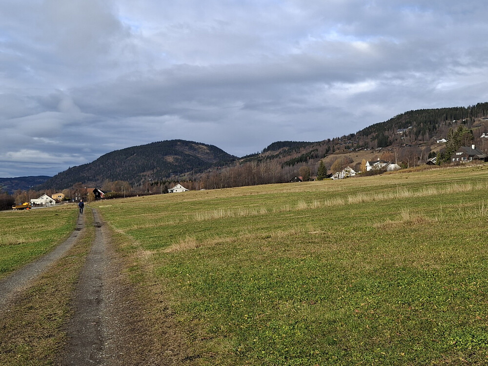 Fra Randgårdsjordet