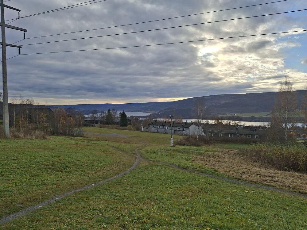 Friområde sør for Ekromskogen