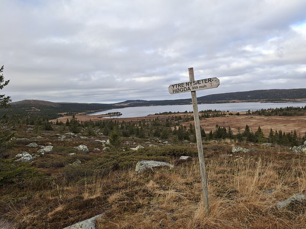 På Ytre Nysæterhøgda