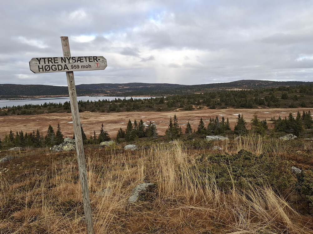 På Ytre Nysæterhøgda