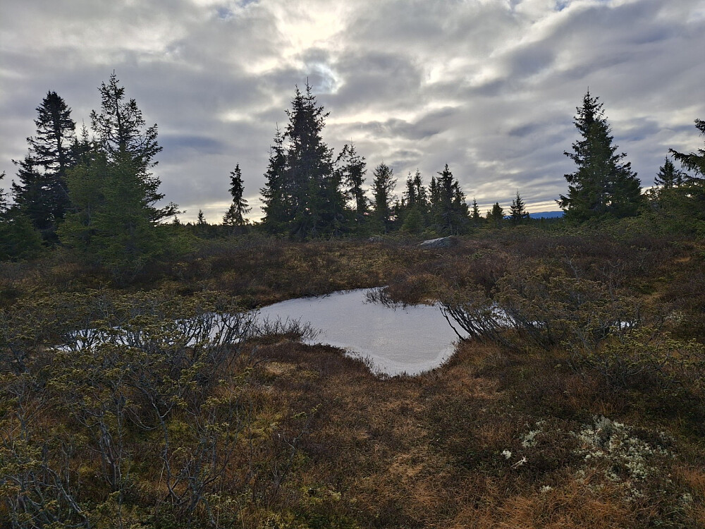 Is på små vannpytter