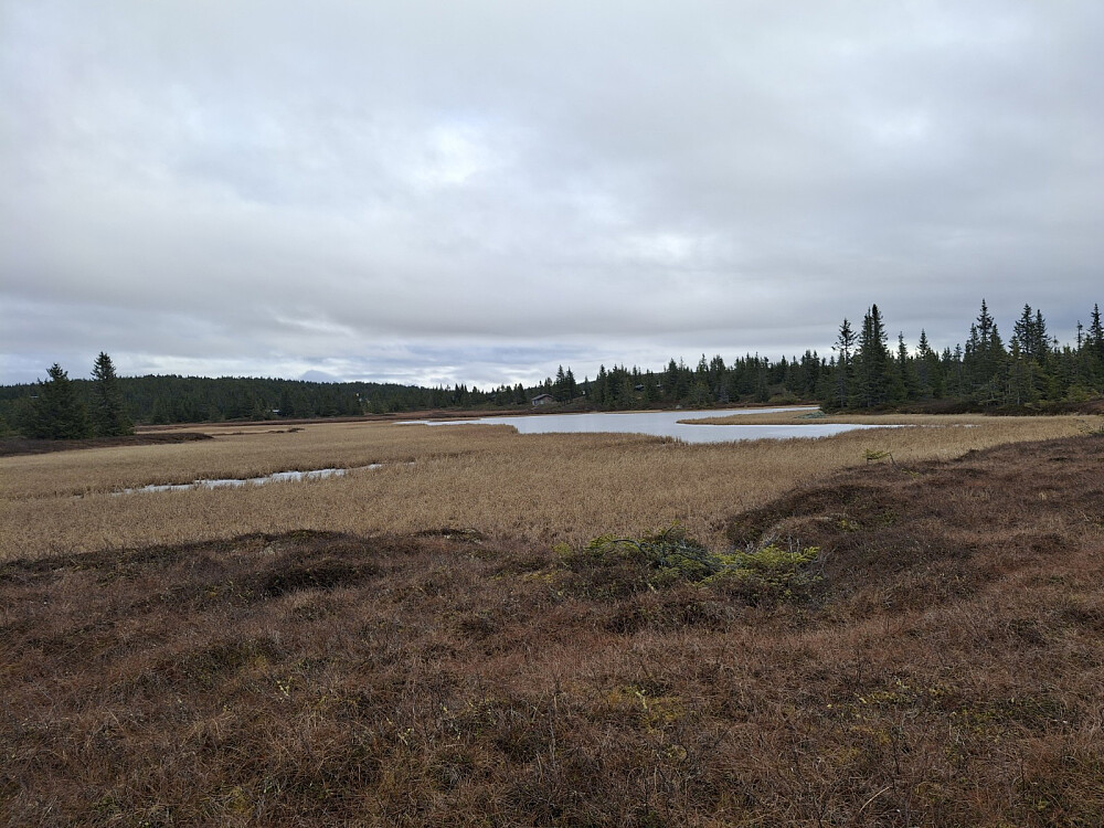 Islagt vatn (907 moh)