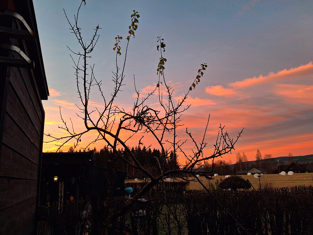 Soloppgang i Blestervegen