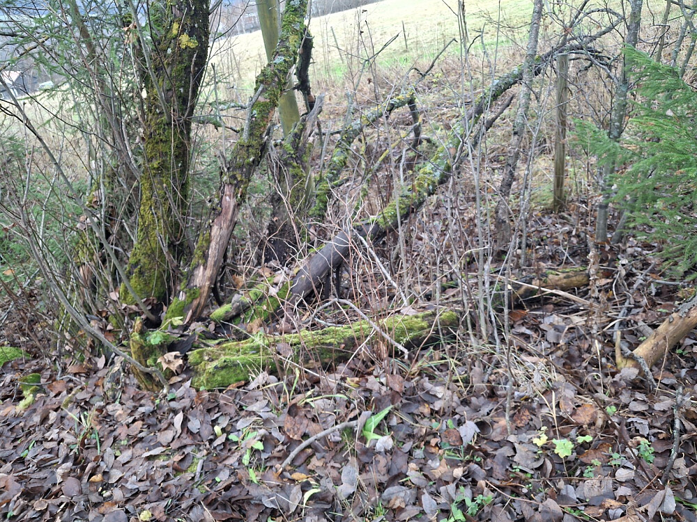 I grøfta på Gamle Nordseterveg