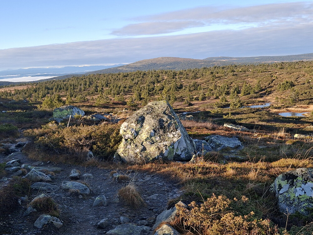 Går ned fra Lunkefjell