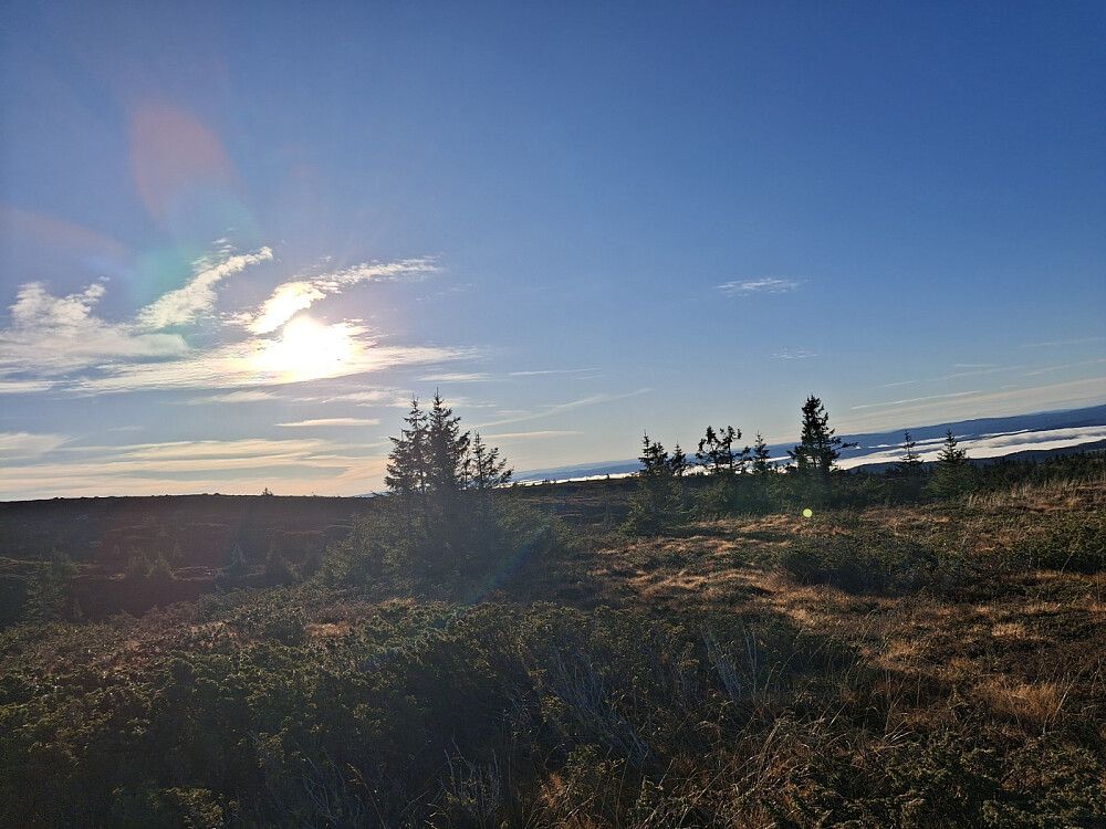 På Lunkefjell vest, mot Lunkefjell