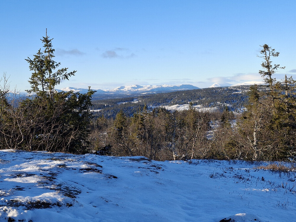 På Bjørga, strålende utsikt