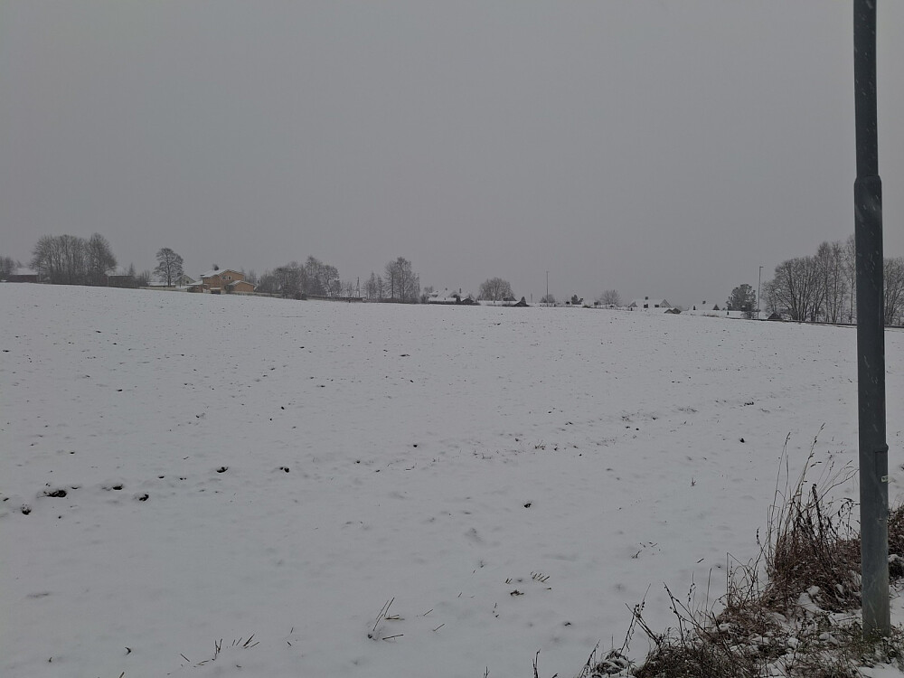 Ikke mye utsikt sørover fra Kvernhusvegen