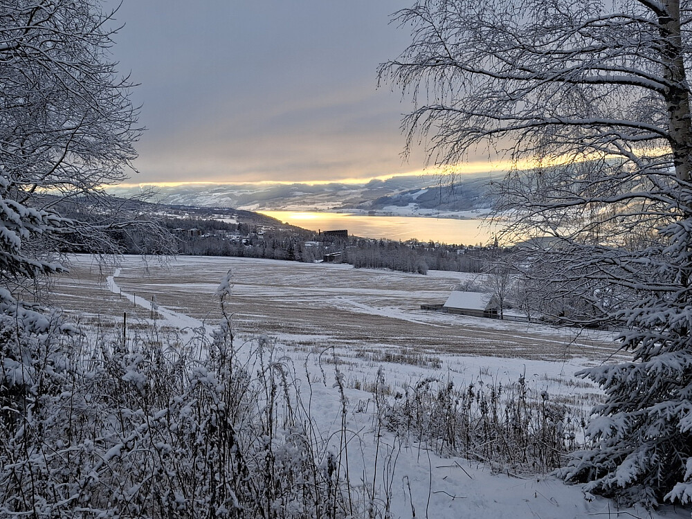 «Gull på Mjøsa»