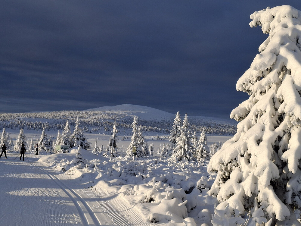 Ved krysset Reinavegen/Melsjøsetervegen