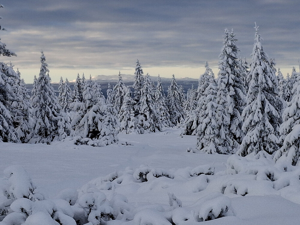 Fra parkeringa på Snauskallen, mot Synnfjell