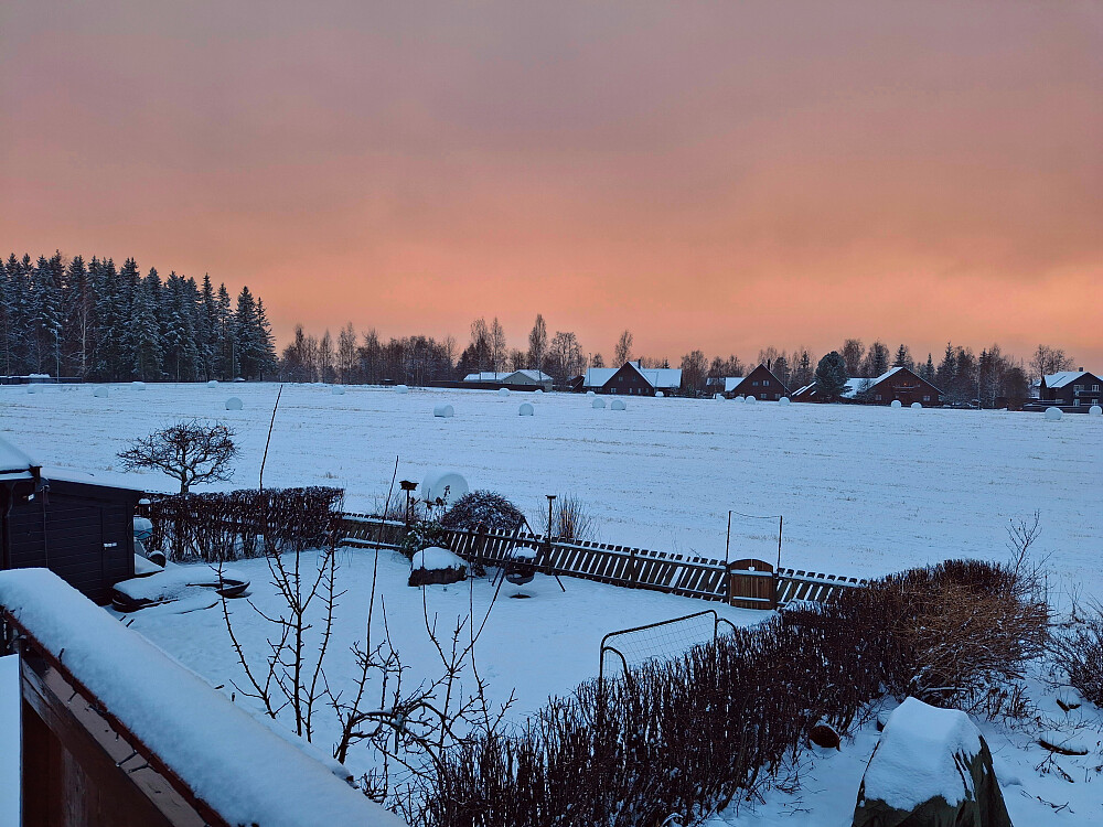 Lyset i Blestervegen
