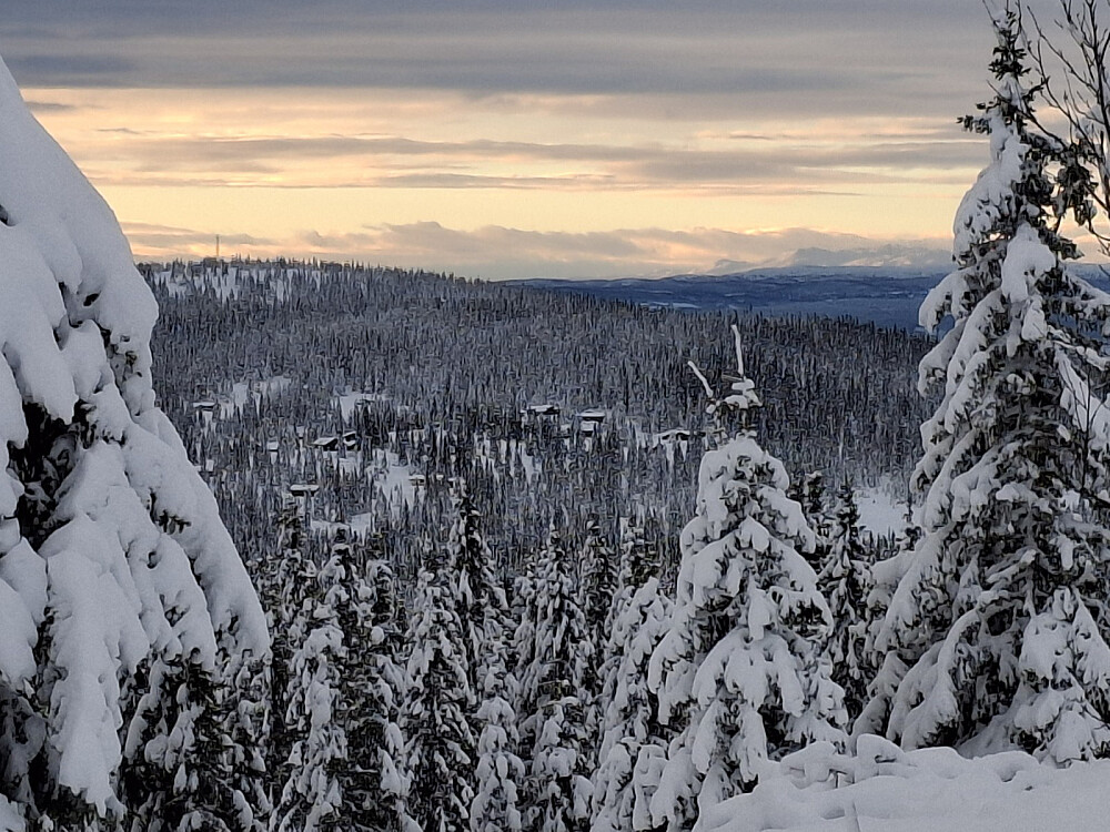 Mot Grøtåshaugen og Synnfjell