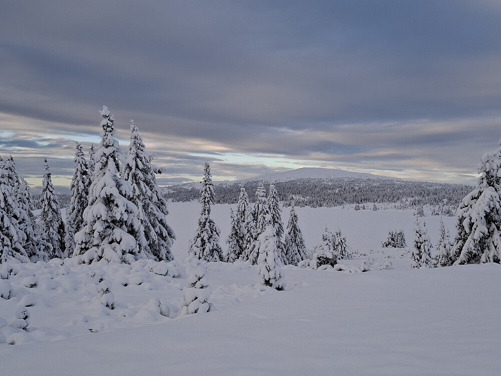 Fra Reinavegen mot Nevelfjell