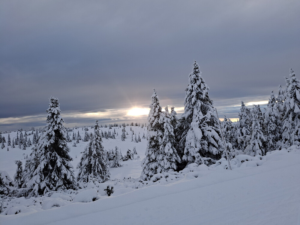 Fra Melsjøsetervegen