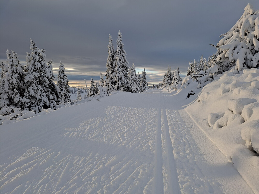 Fortsatt på Melsjøsetervegen