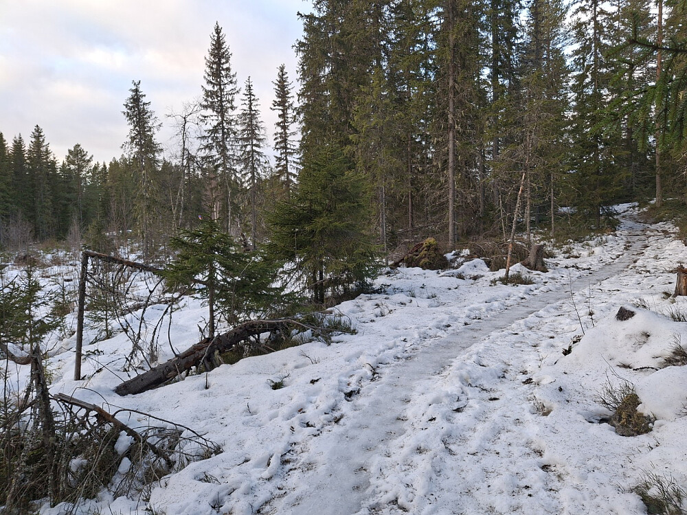 I råket mot VIPvegen