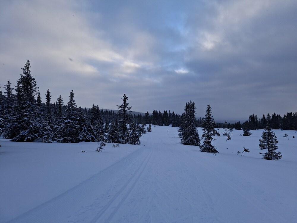 Snart oppe ved Neveloset