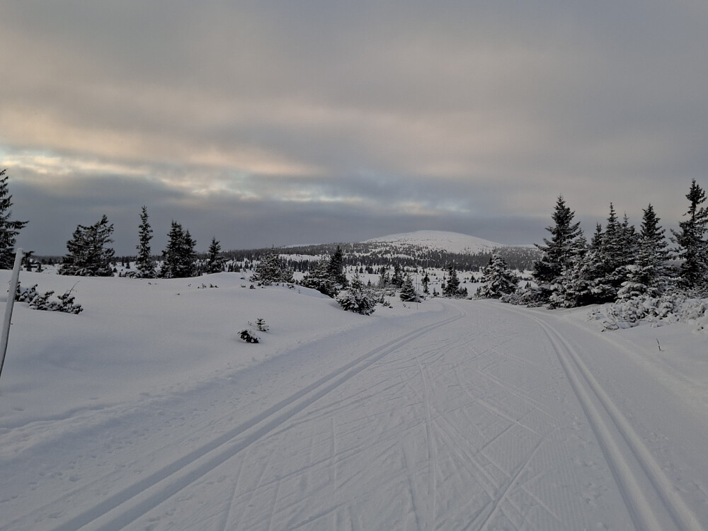 Nevelfjell fra Melsjøsetervegen