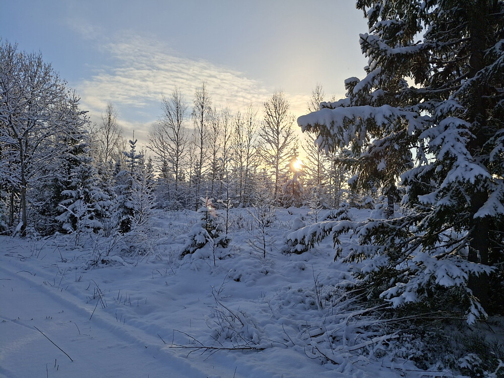 I lysløypa ved turstart