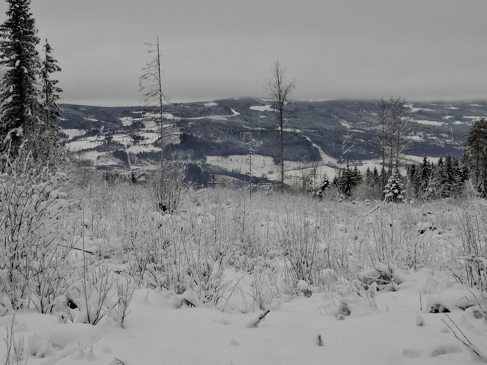 Fra Vårsetervegen, mot Vingnes og Reistadbakken