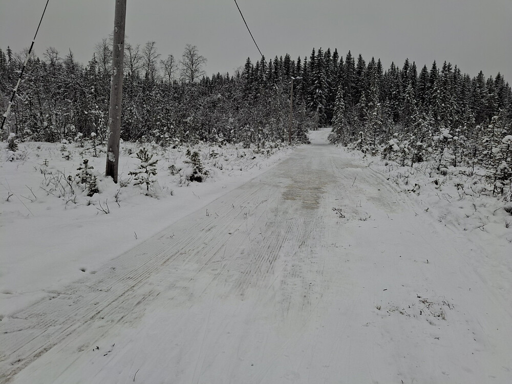 Snudde ved denne issvullen, bortest på Bottilmyra