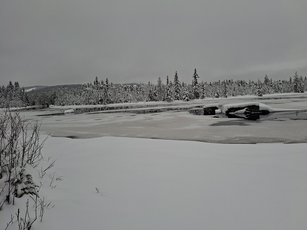 Mesnaelva ved Bottilflø