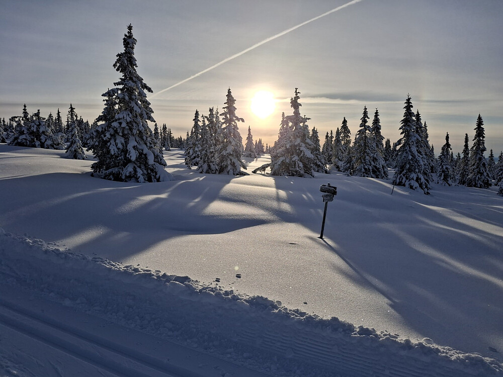Oppover mot Nordseterfjellet