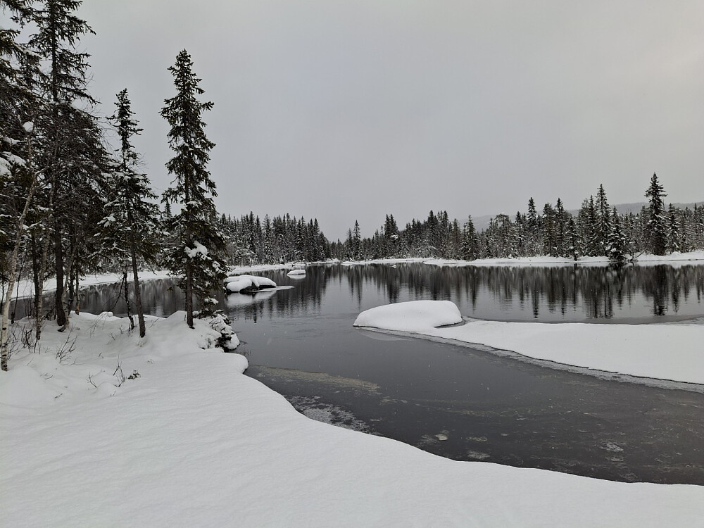 Mesnaelva ved Bottilflø