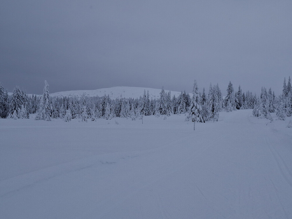 Oppover mot Neveloset