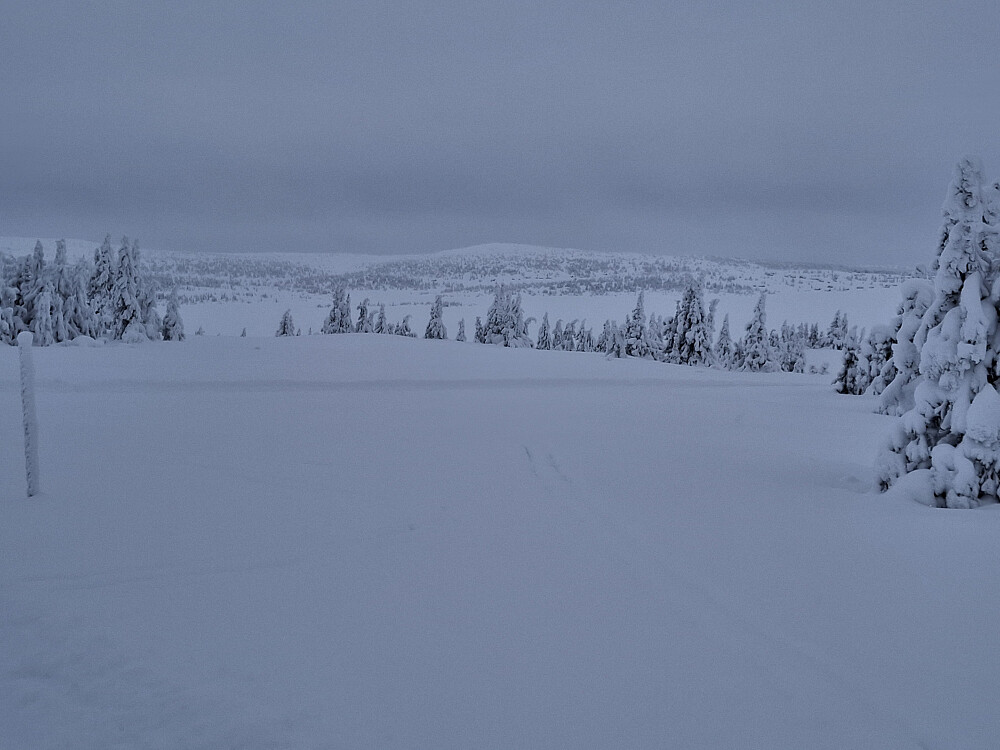 Mot Reinsvatnet og Kriksfjell fra høgeste punkt i løypa