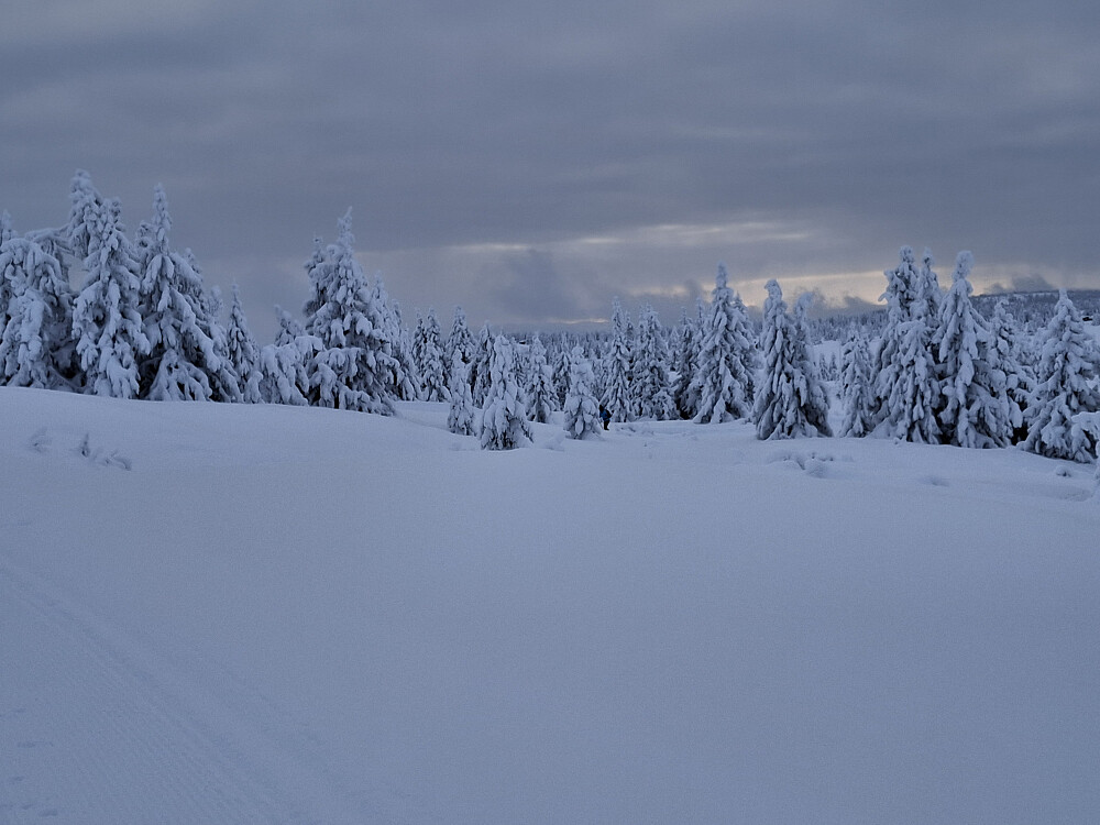 På Reinavegen på tilbaketuren