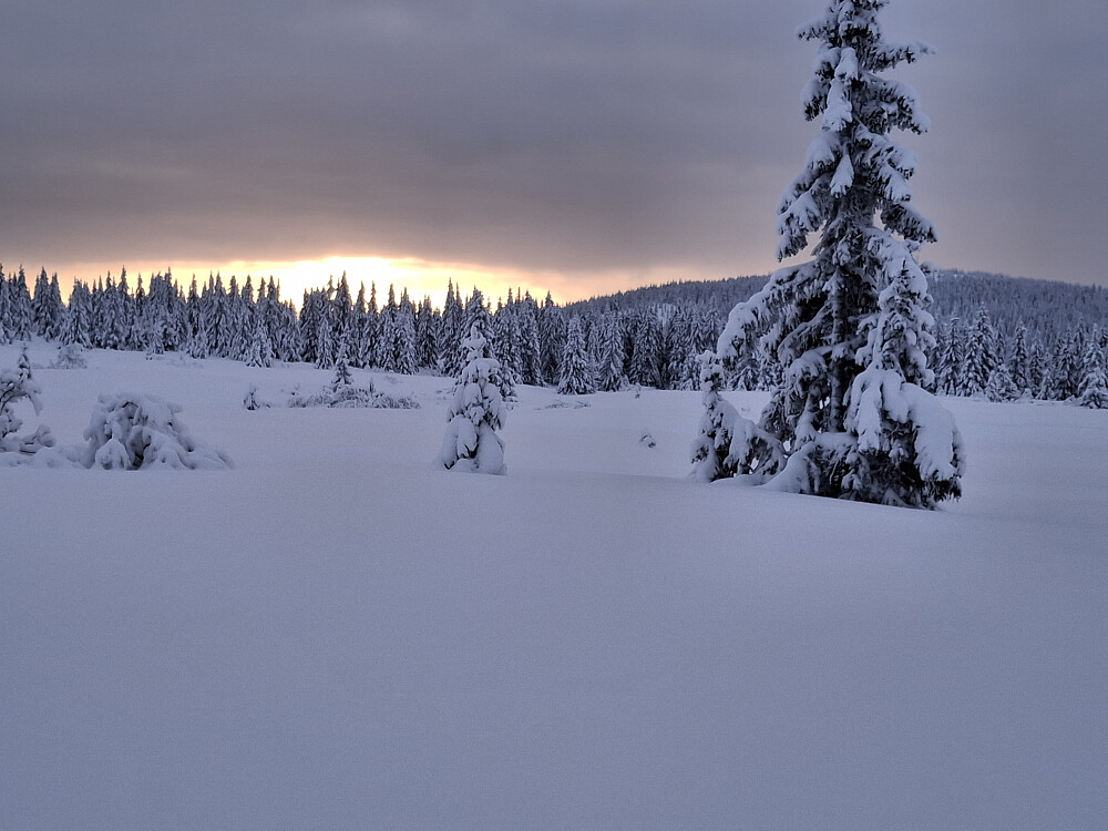 Endelig ser sola til å stikke fram igjen