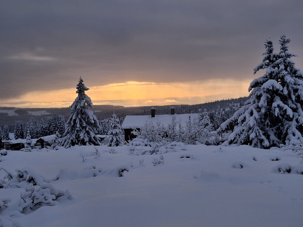 Tilbake på Nordseter