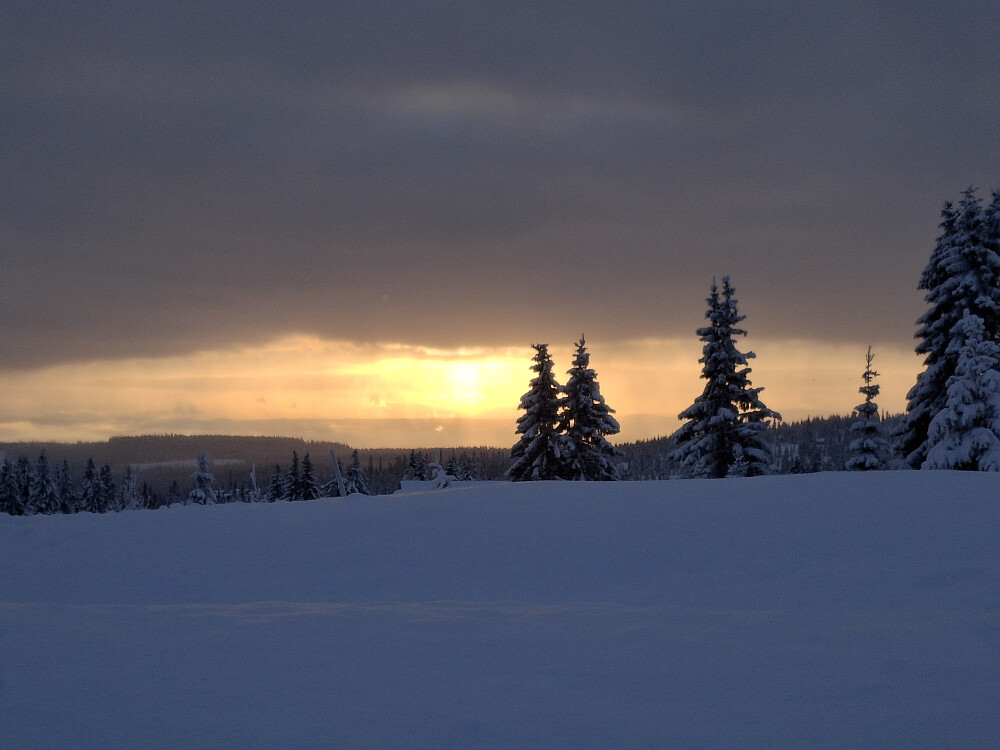 Fra parkeringa på Nordseter