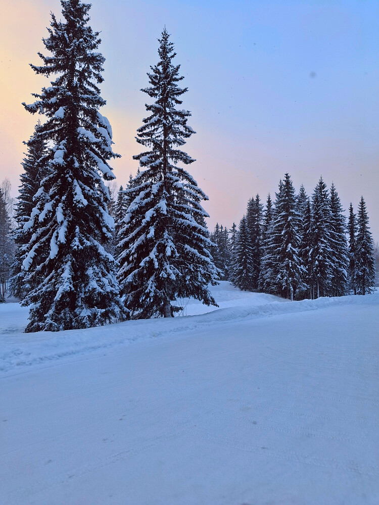 Tilbake på parkeringa