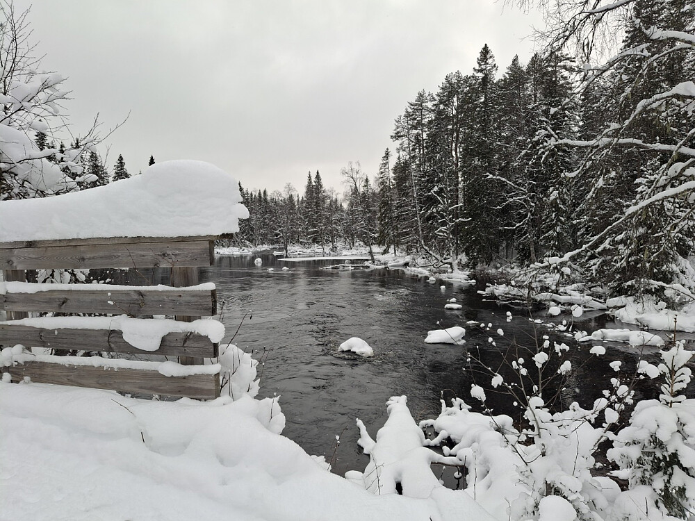 Mesnaelva ved Mesnasaga