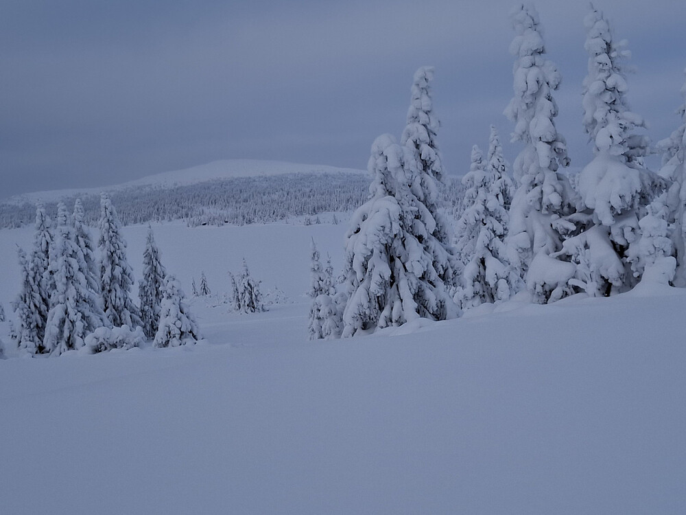 Nevelfjell fra Reinavegen