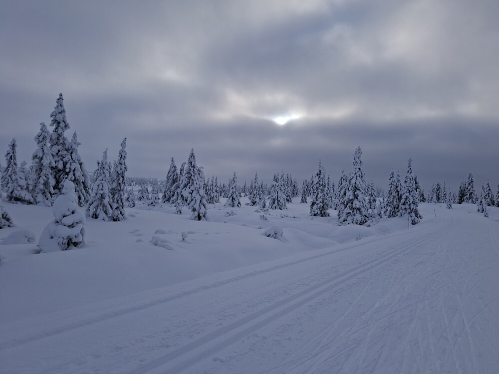 Solglimt på Reinavegen